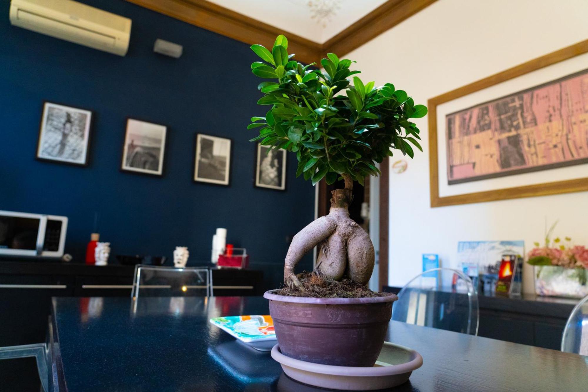 B&B Opera Catania-Fontanarossai nemzetközi repülőtér Kültér fotó